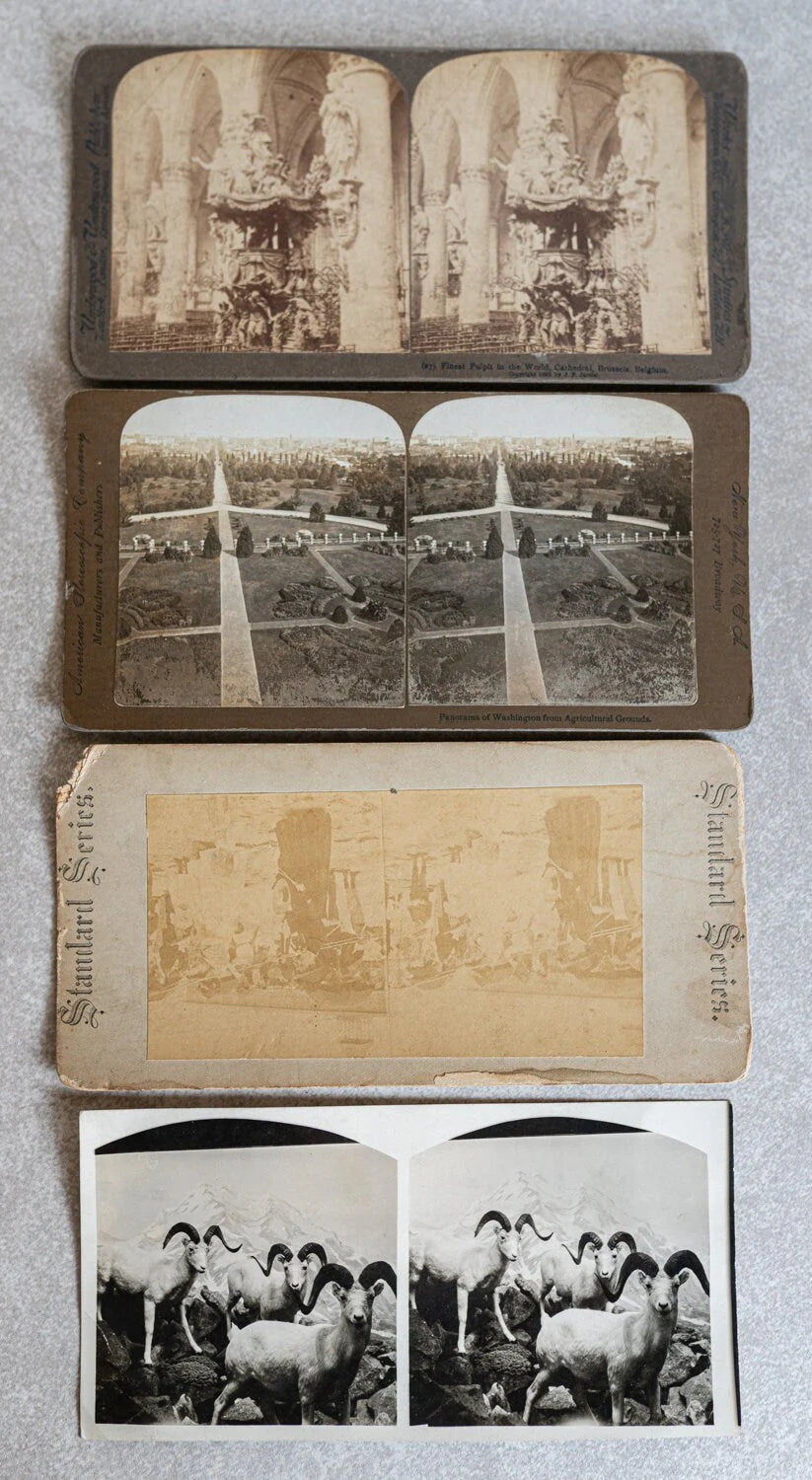 Stereoview Cards - Lot of 4 - Various Scenes