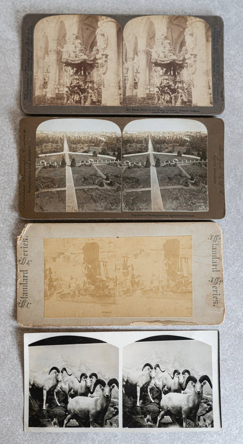 Stereoview Cards - Lot of 4 - Various Scenes