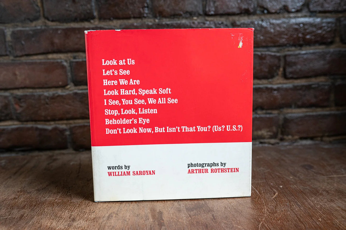 Look at Us, Etc. Etc. by Arthur Rothstein - Words by William Saroyan - 1967