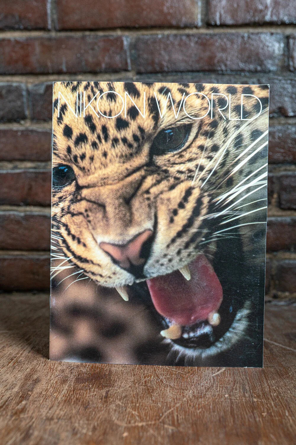 Nikon World Brochure Magazine - Spring 1993