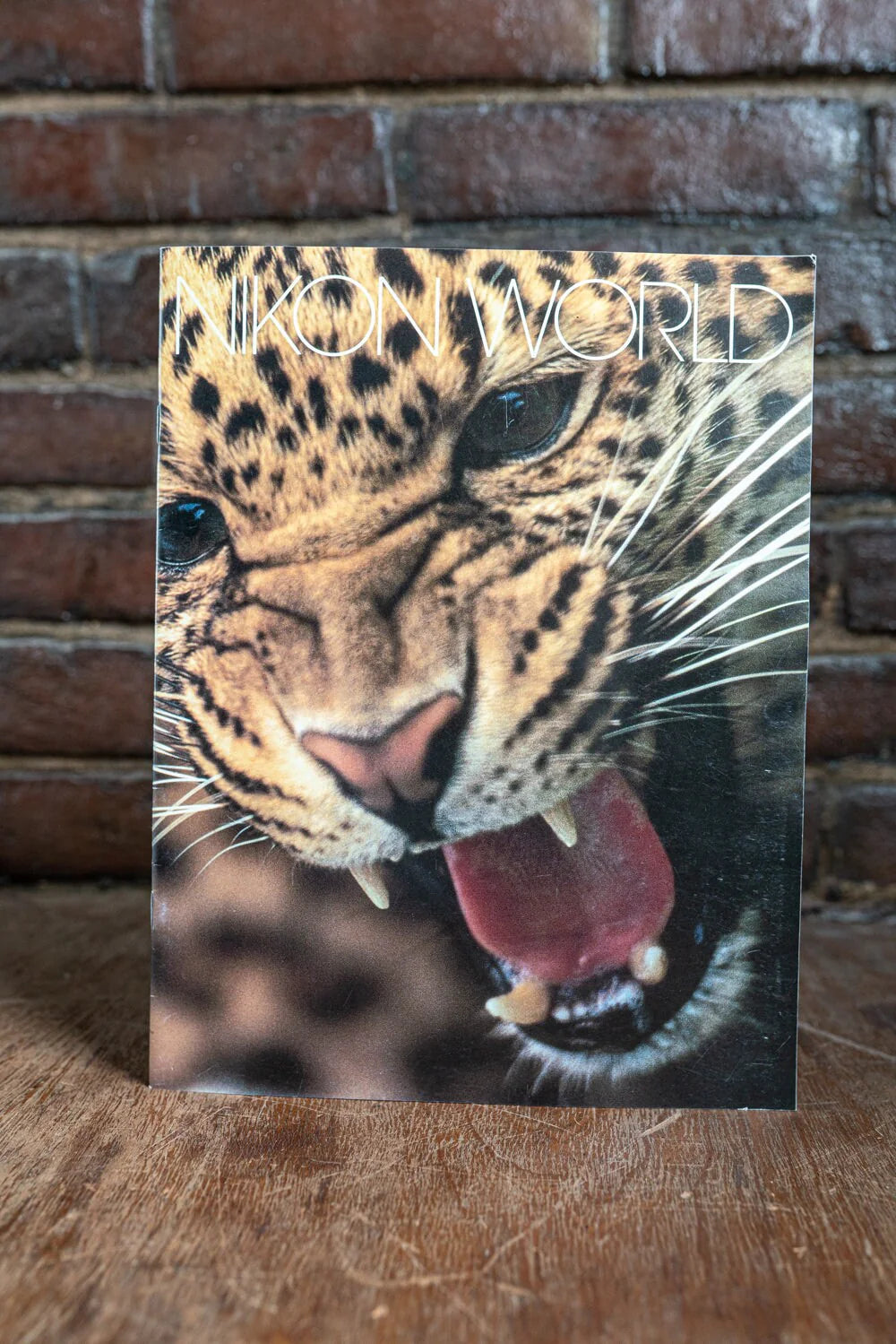 Nikon World Brochure Magazine - Spring 1993