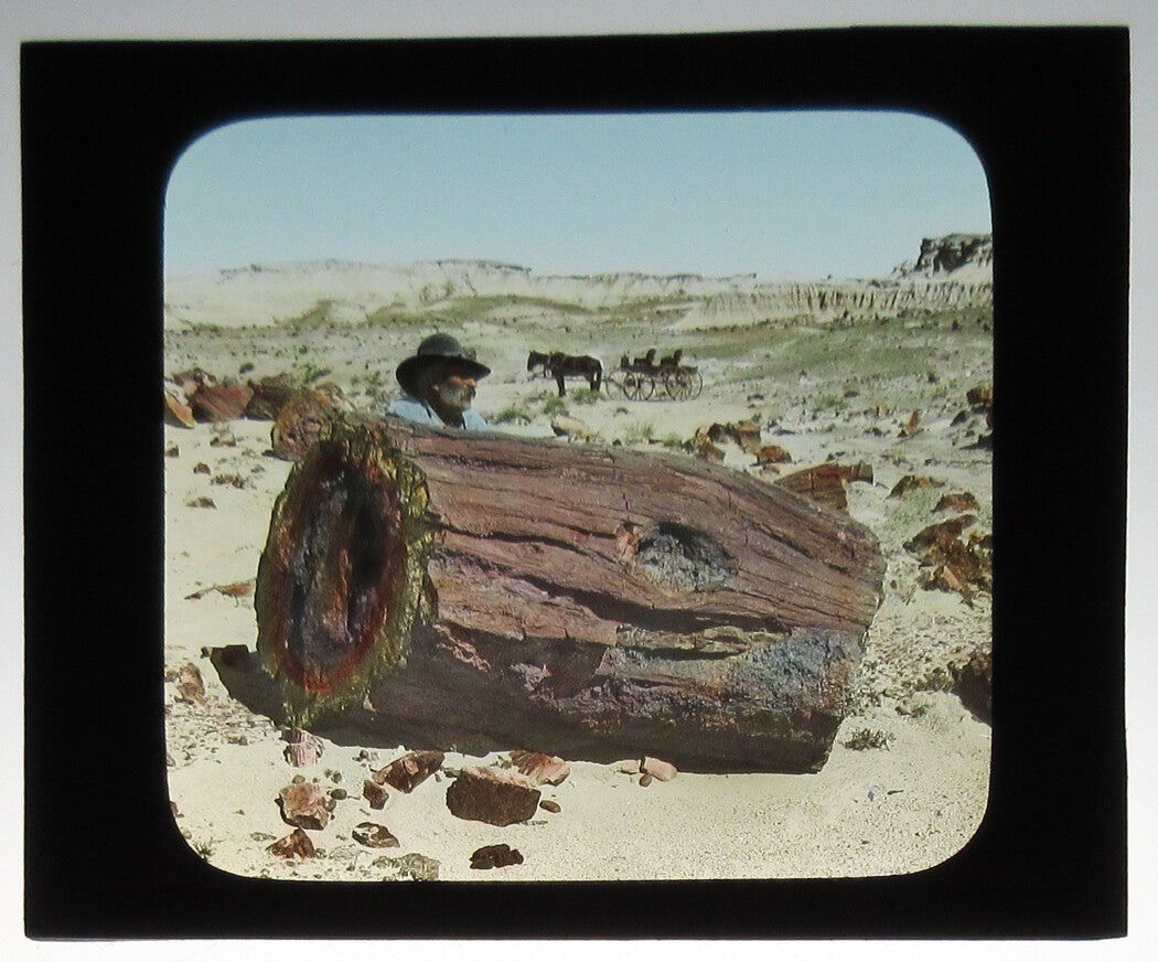 LOG, PETRIFIED FOREST, ARIZONA. PHOTO ON GLASS, HAND COLORED.